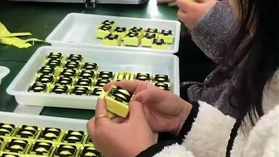 ZCET Экскурсия по заводу трансформаторов | Процесс производства электронных трансформаторов